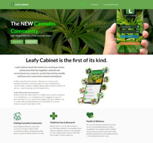 Leafy Cabinet Website Build and testimonial.